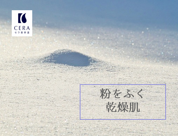 粉をふく乾燥肌