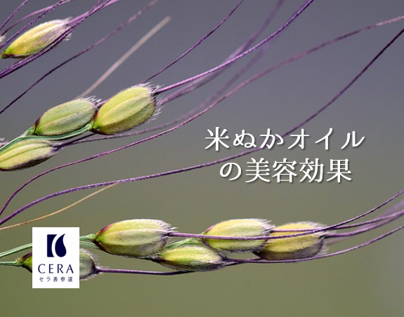 米ぬかオイルの美容効果