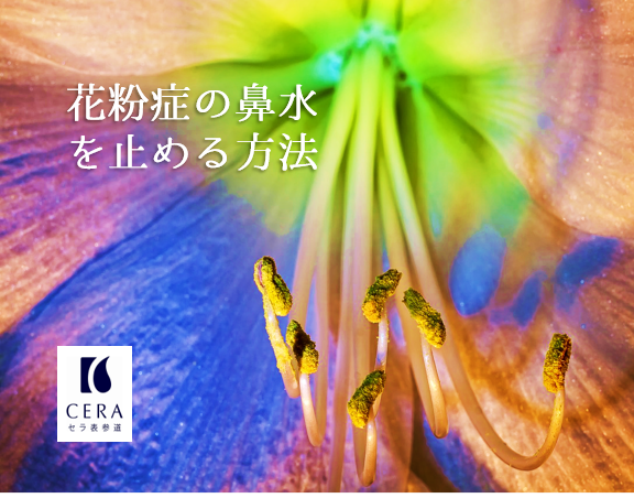 花粉症の鼻水を止める方法