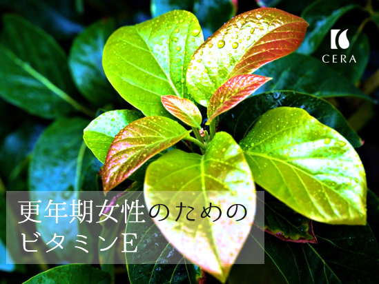 更年期女性のためのビタミンE