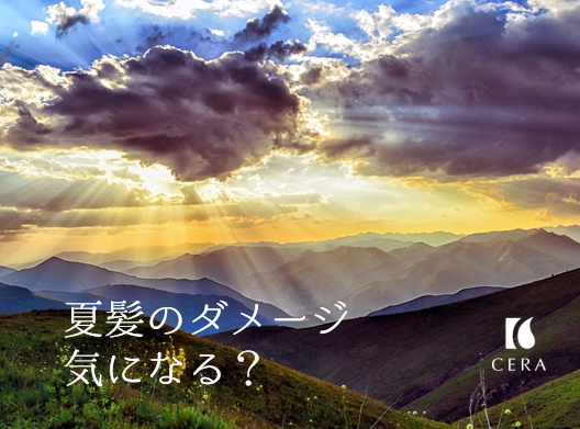 夏髪のダメージ気になる？