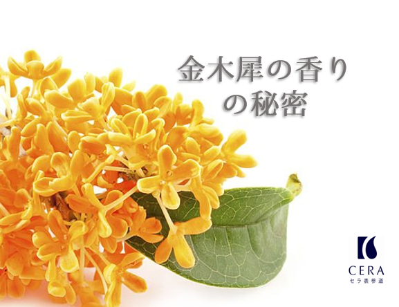 金木犀の香りの秘密