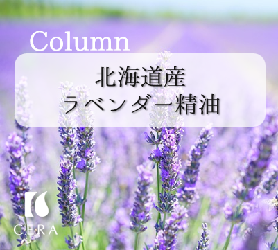 北海道産ラベンダー精油
