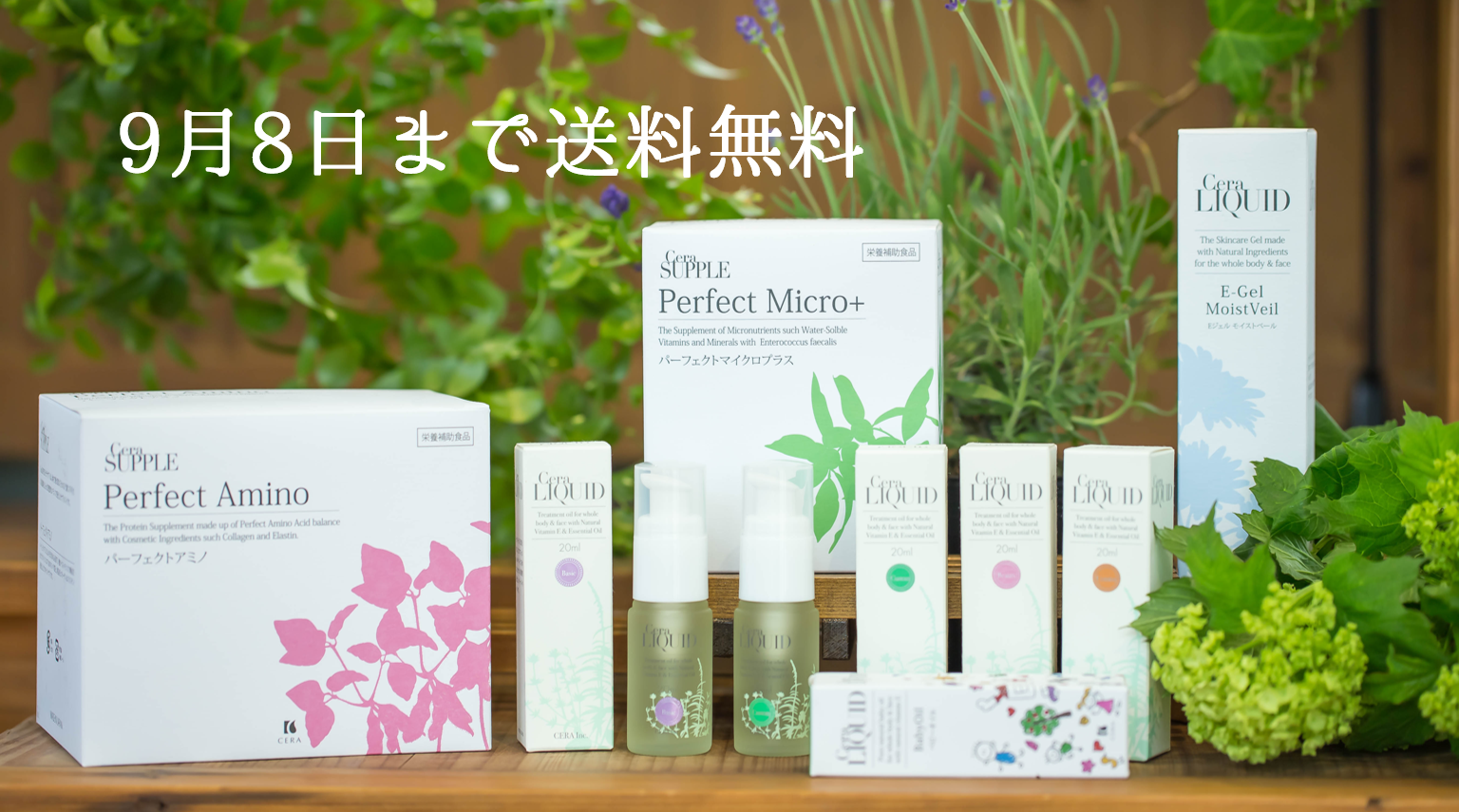 セラストアでは送料無料でお届けしています