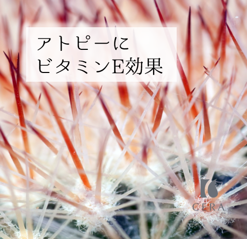 アトピーにビタミンE効果