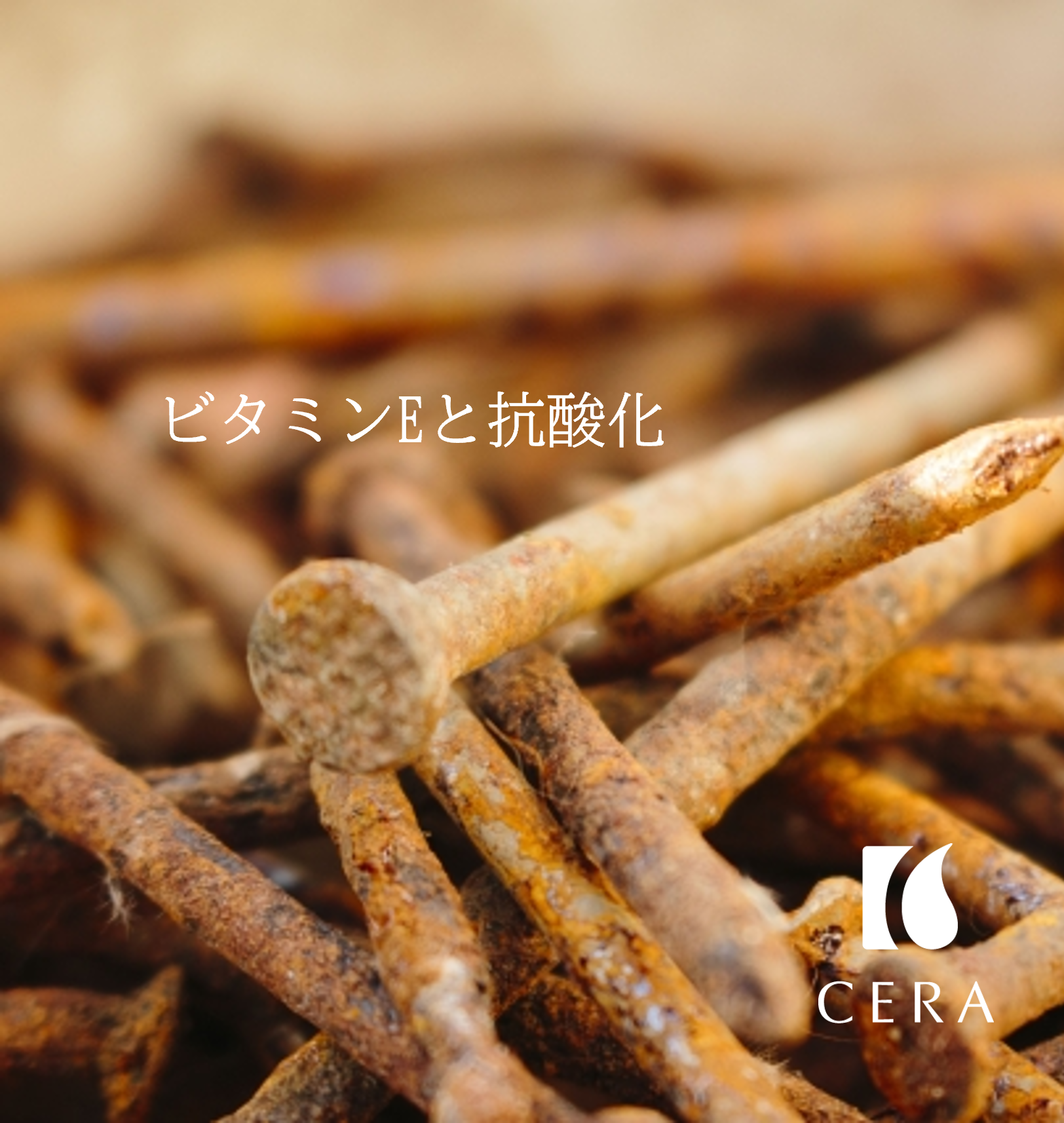 【ビタミンEと抗酸化】ビタミンEオイル「セラリキッド」／エイジングケアや抗酸化作用の強い天然ビタミンEが配合されたビタミンEオイル