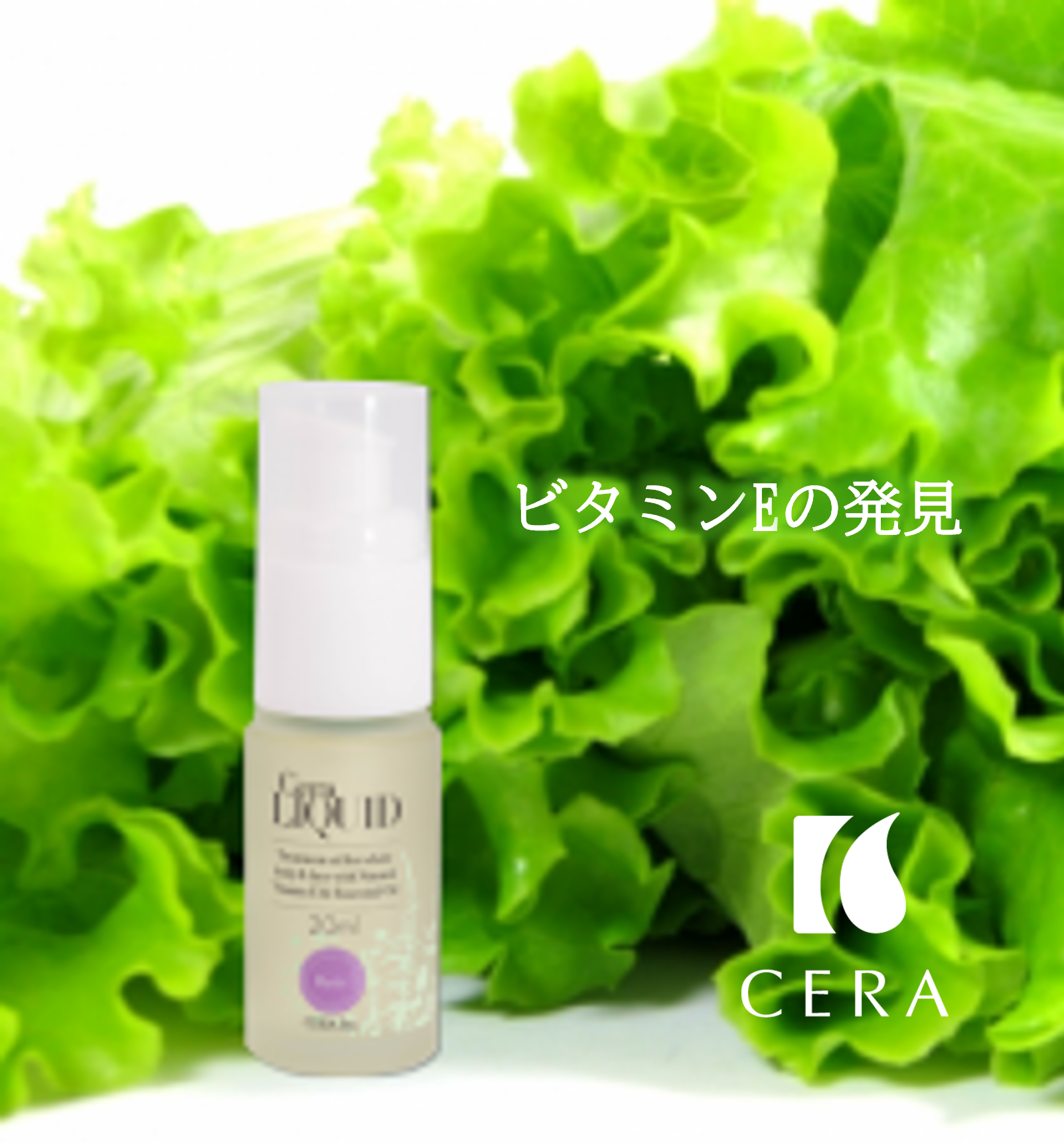 【ビタミンEの発見】ビタミンEオイル「セラリキッド」／エイジングケアや抗酸化作用の強い天然ビタミンEが配合されたビタミンEオイル