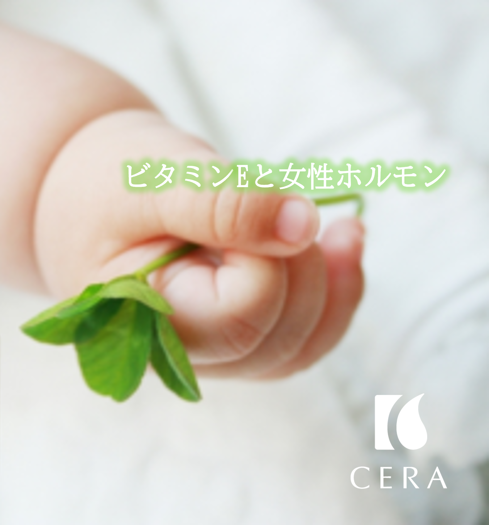 【ビタミンＥと女性ホルモン】ビタミンEオイル「セラリキッド」／エイジングケアや抗酸化作用の強い天然ビタミンEが配合されたビタミンEオイル