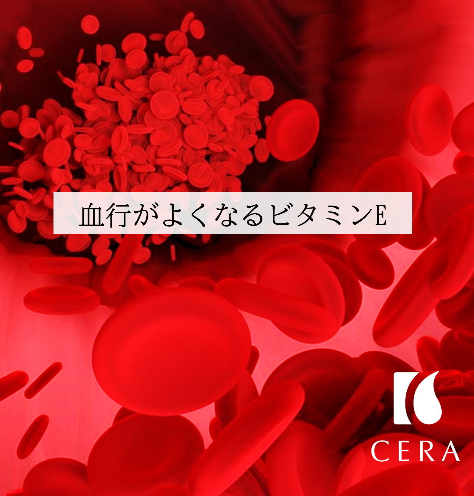 【ビタミンＥと血行】ビタミンEオイル「セラリキッド」／エイジングケアや抗酸化作用の強い天然ビタミンEが配合されたビタミンEオイル