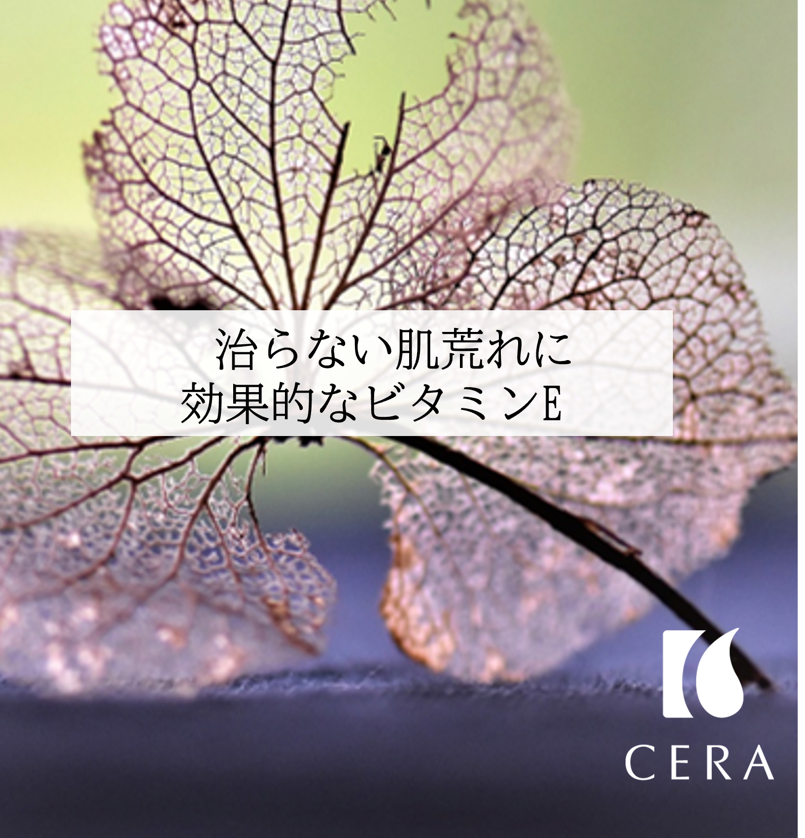 【治らない肌荒れに効果的なビタミンＥ】ビタミンEオイル「セラリキッド」／エイジングケアや抗酸化作用の強い天然ビタミンEが配合されたビタミンEオイル