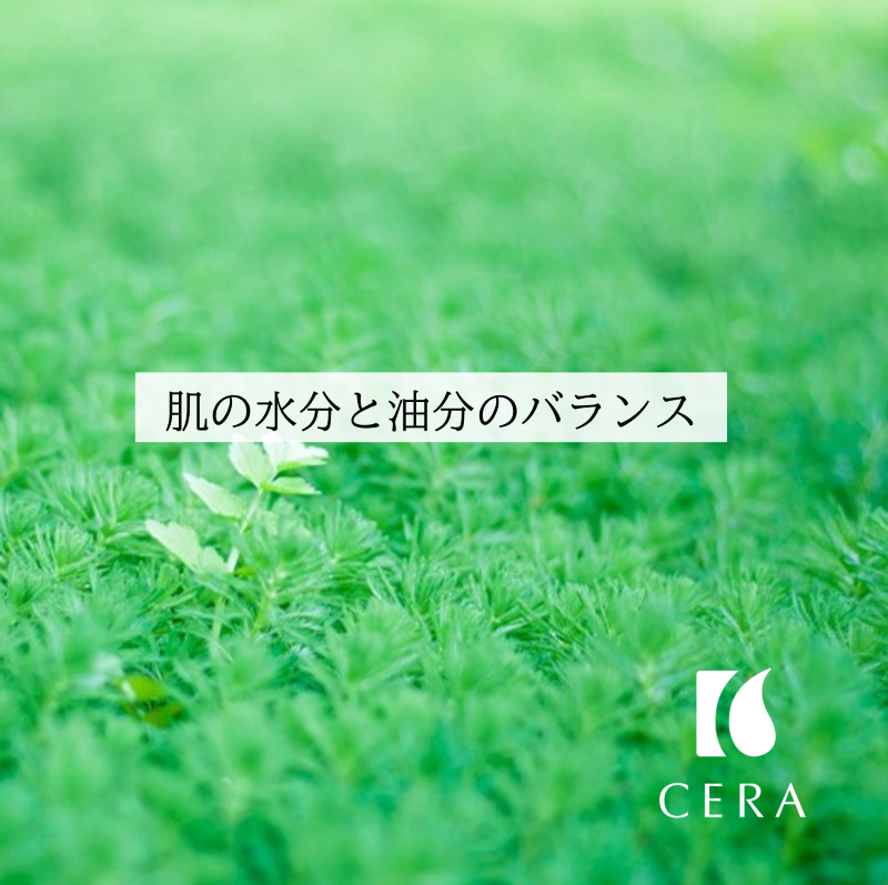 【肌の水分と油分のバランス】ビタミンEオイル「セラリキッド」／エイジングケアや抗酸化作用の強い天然ビタミンEが配合されたビタミンEオイル