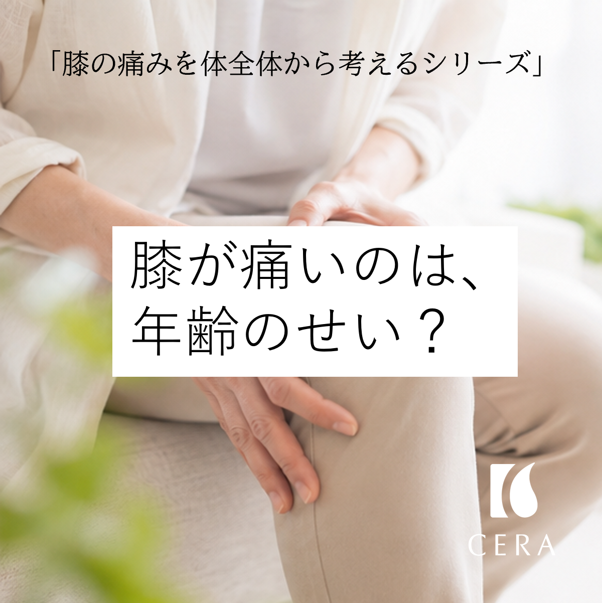 「膝の痛みを体全体から考えるシリーズ」【膝が痛いのは、年齢のせい？」天然ビタミンEオイル「セラリキッド」／セラストア・ビタミンEマッサージ「久我山セラマッサージ治療院」