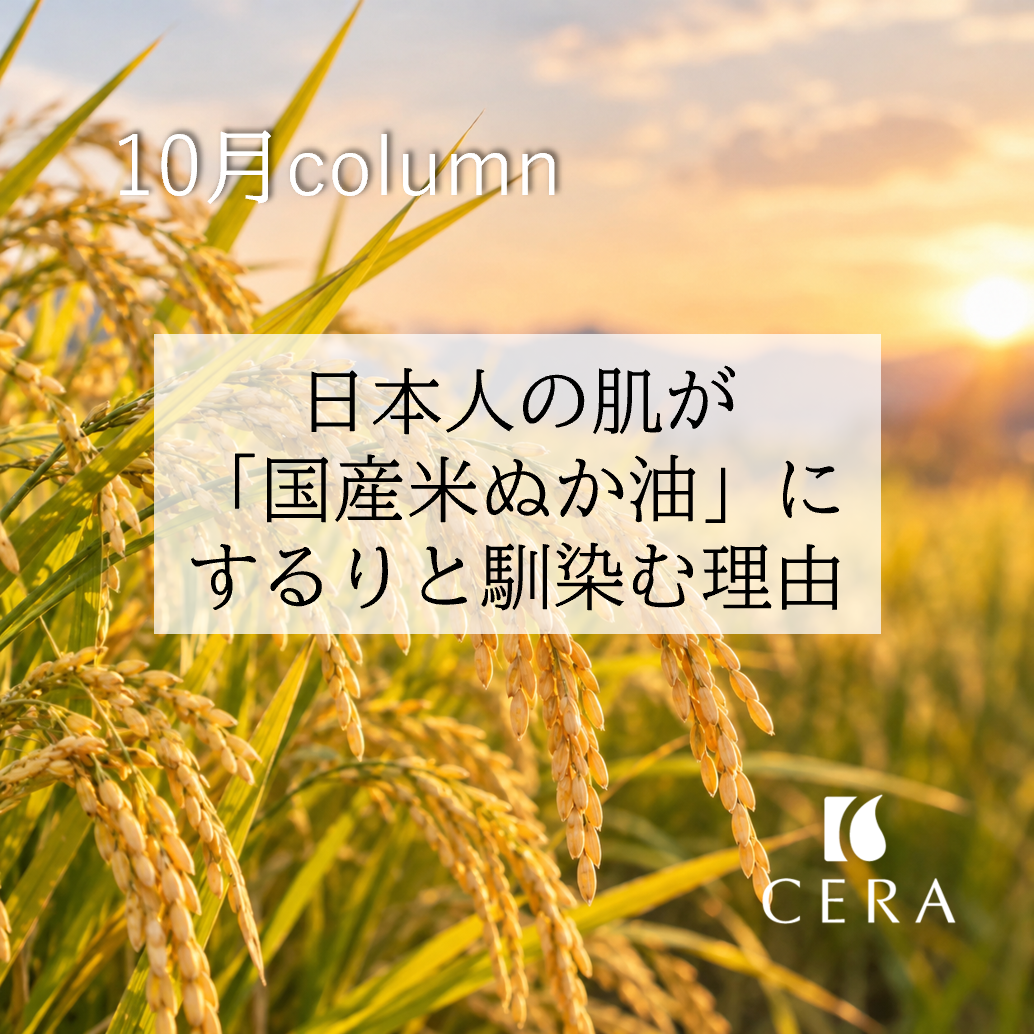 10月コラム「日本人の肌が「国産米ぬか油」にするりと馴染む理由」セラストア／天然ビタミンEと米ぬか油と自然由来精油【ビタミンEセラム】